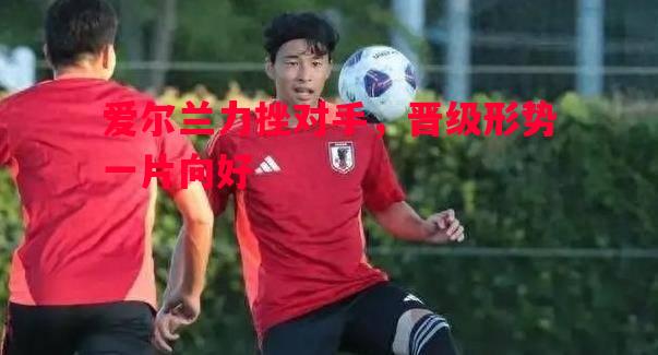 爱尔兰力挫对手,晋级形势一片向好 爱尔兰力挫对手,晋级形势一片向好