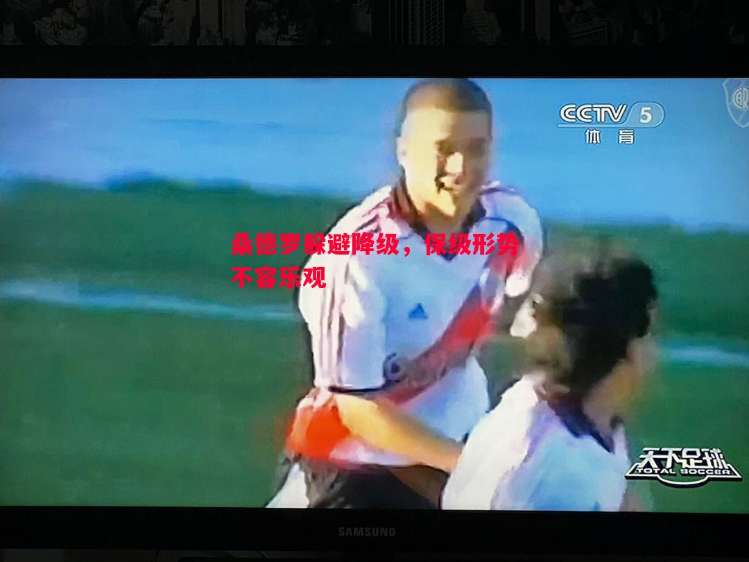 桑德罗躲避降级,保级形势不容乐观 桑德罗躲避降级,保级形势不容乐观