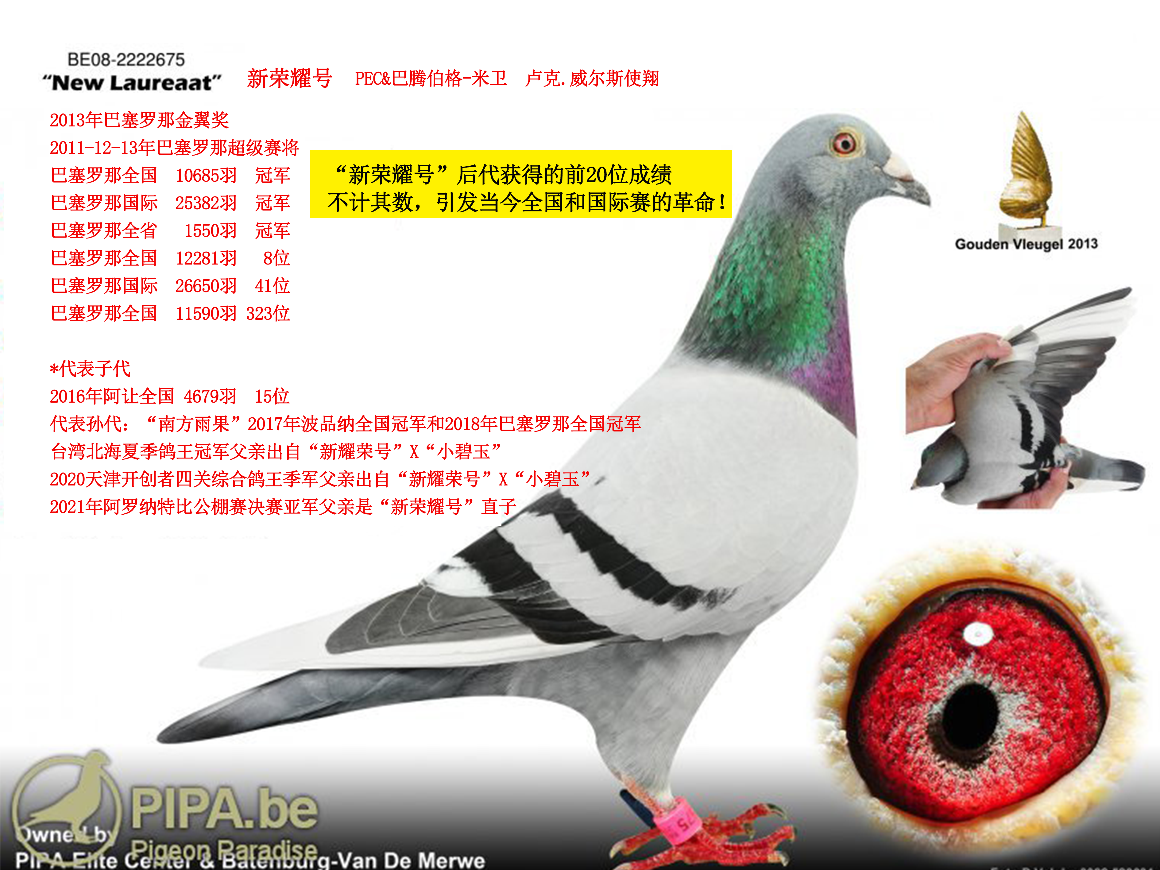 欧国联冠军赛场迎来挑战者,鲜血与荣耀同在 欧国联冠军赛场迎来挑战者,鲜血与荣耀同在