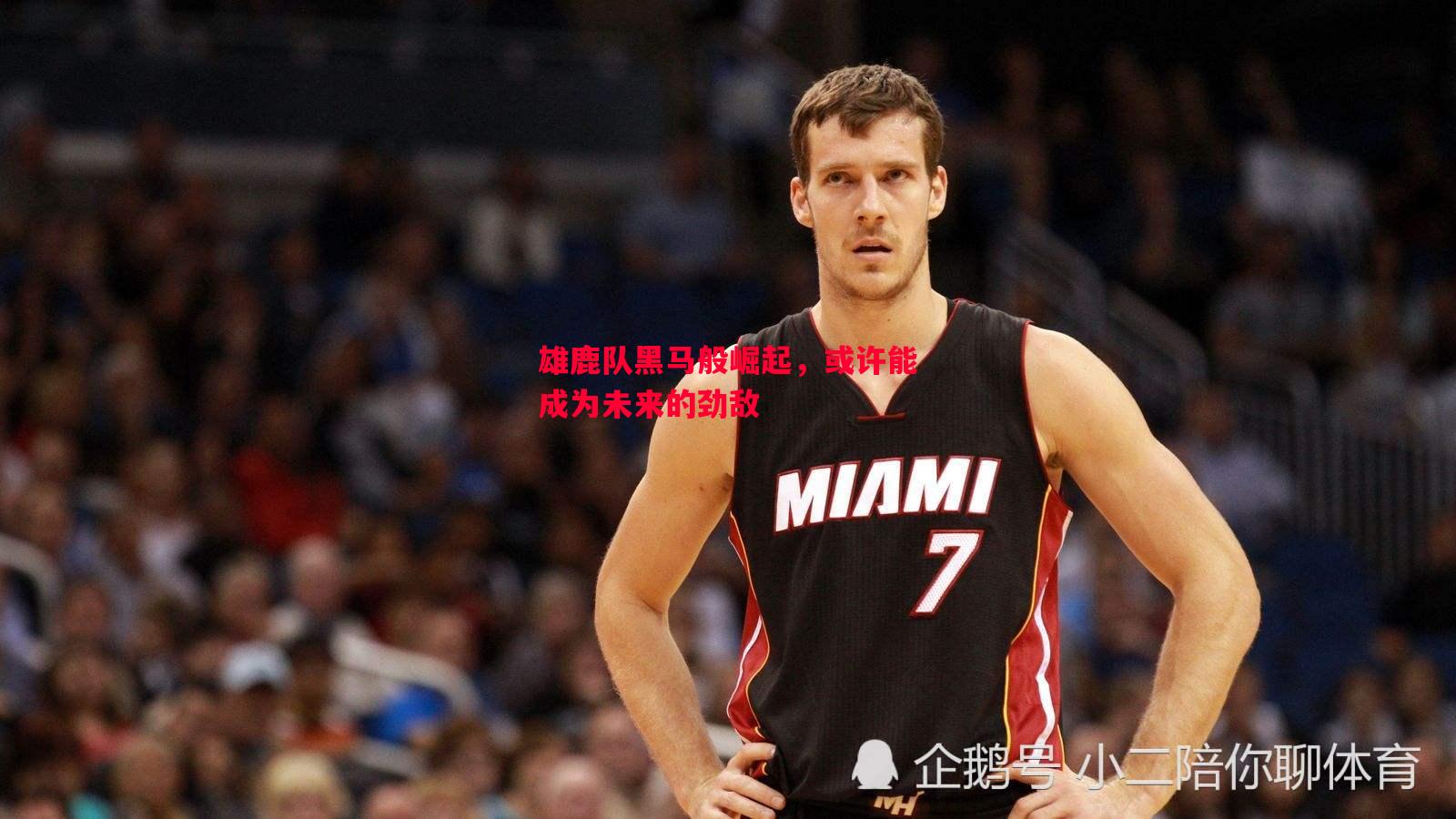 雄鹿队黑马般崛起,或许能成为未来的劲敌 雄鹿队黑马般崛起,或许能成为未来的劲敌